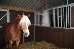 paardenstal qua wonen